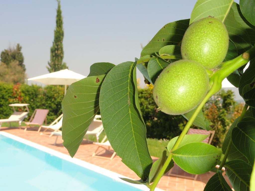 شقة Poggio Novello Peccioli المظهر الخارجي الصورة